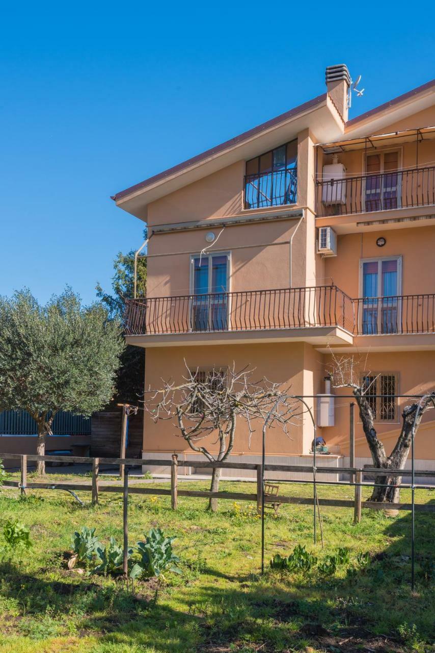 Travelershome Ciampino&Morena Guesthouse روما المظهر الخارجي الصورة